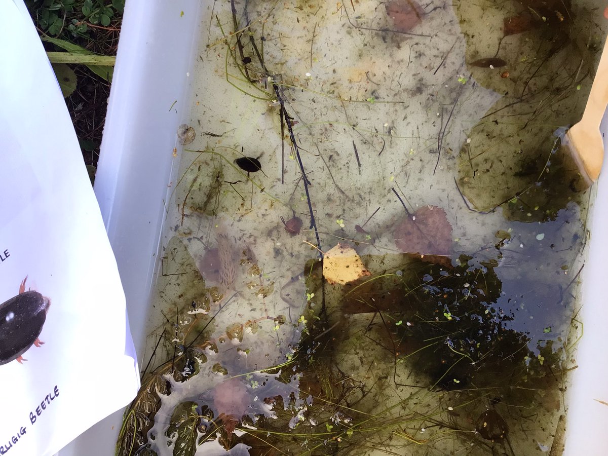 A chilly afternoon out with Cairngorm Rangers, Becki &amp; Judy. We played a game about predators, met a tree &amp; went pond dipping in <a href="/moxonarchitects/">Moxon Architects</a> pond. We’re happy to report the pond is teeming with life. <a href="/cairngormsnews/">Cairngorms National Park</a> #article24 #curiosity
