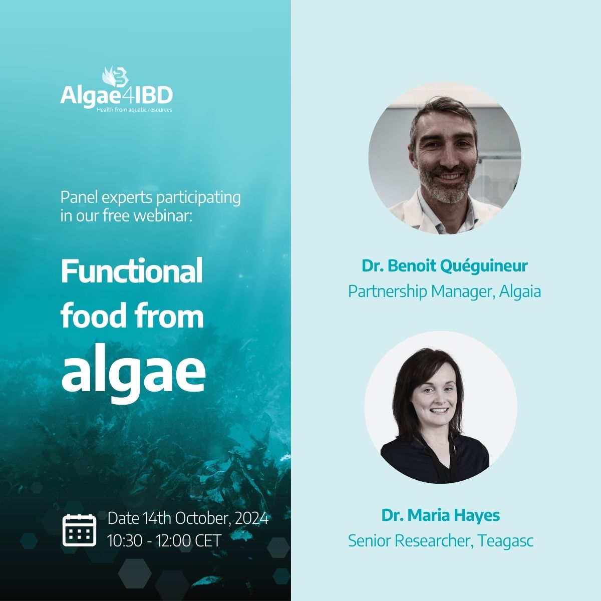 Our webinar's panel will host experts of diverse backgrounds, including our partners Benoit Queguineur from Algaia &amp; Maria Hayes from <a href="/teagasc/">Teagasc</a> 

We're looking forward to discussing aspects of functional food from algae with them &amp; our invited speakers

algae4ibd.eu/2024/09/17/fre…