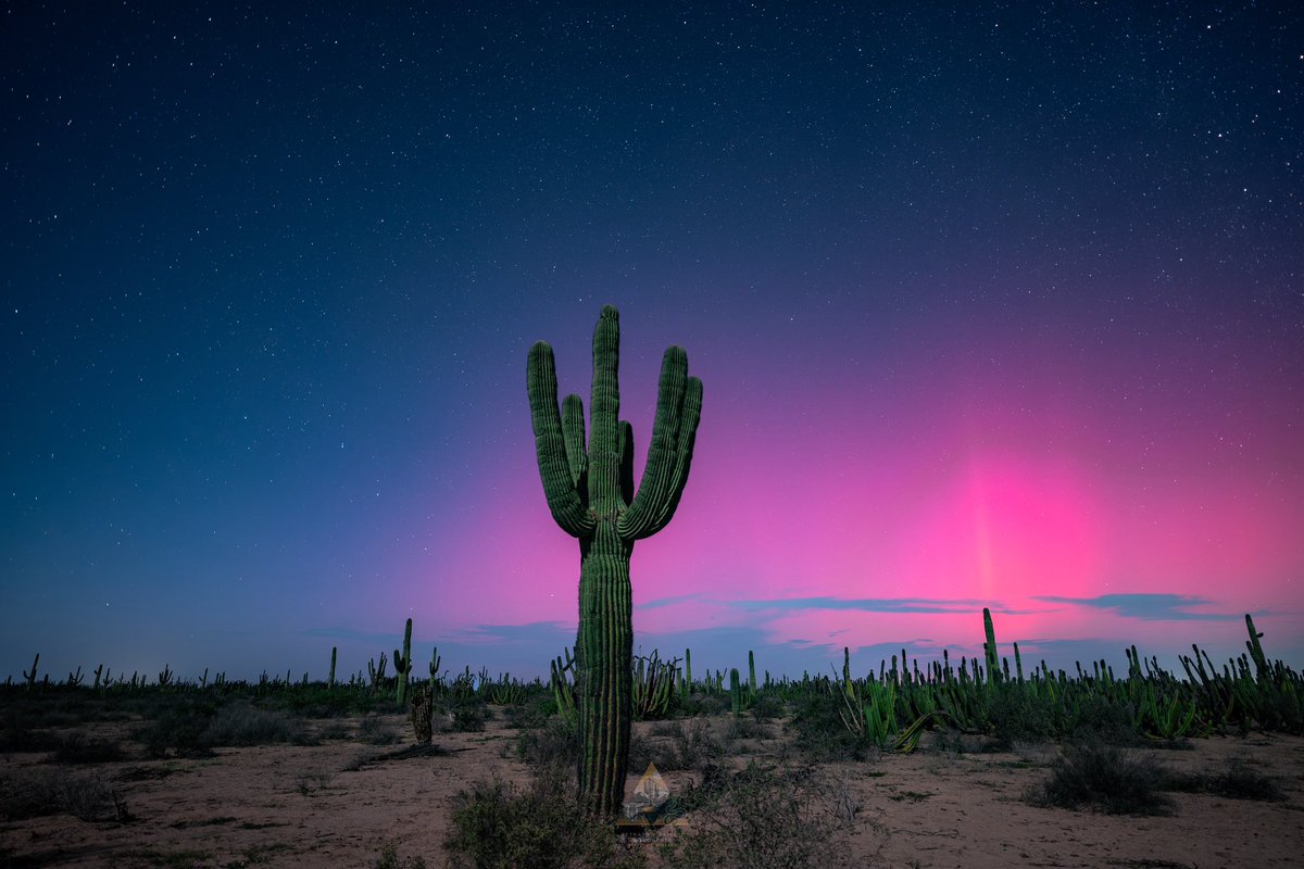 GGerardox2's tweet image. Aurora boreal en el desierto de Sonora, México. 10/Oct/2024
Tormenta Geomagnética.
