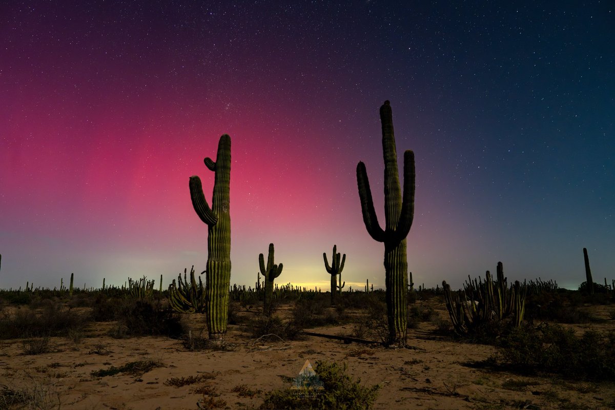 GGerardox2's tweet image. Aurora boreal en el desierto de Sonora, México. 10/Oct/2024
Tormenta Geomagnética.