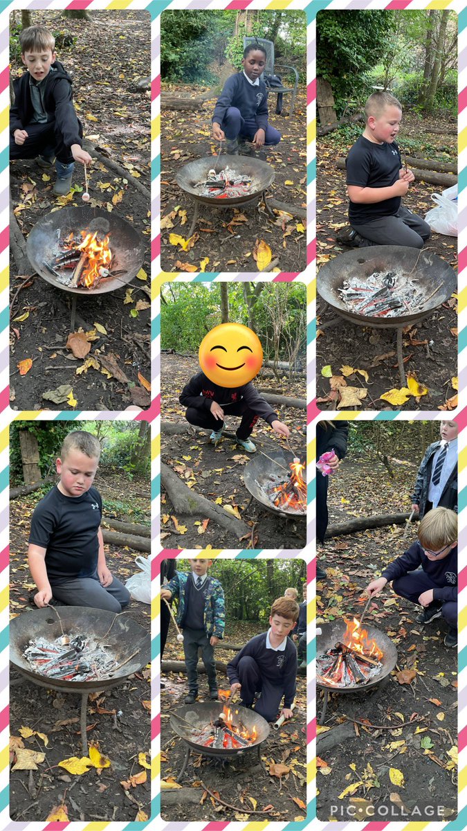 We enjoyed marshmallows in the forest area today 😋