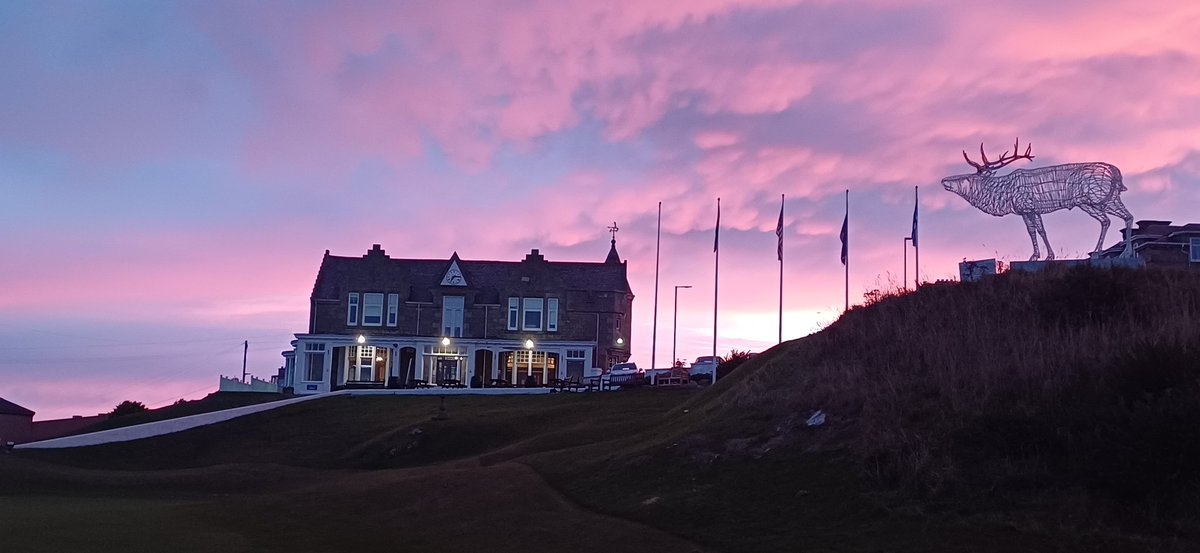 john_gkeeping💚 tweet media