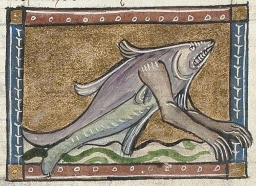 doctorow's tweet photo. Friendly fish. From a 14th-century illuminated manuscript of Jacob van Maerlant’s Der naturen bloeme (The flower of Nature). More here: https://t.co/iGUkJc8HVe #fridayfish https://t.co/w3GB0V28xX https://t.co/57rMz2sn38