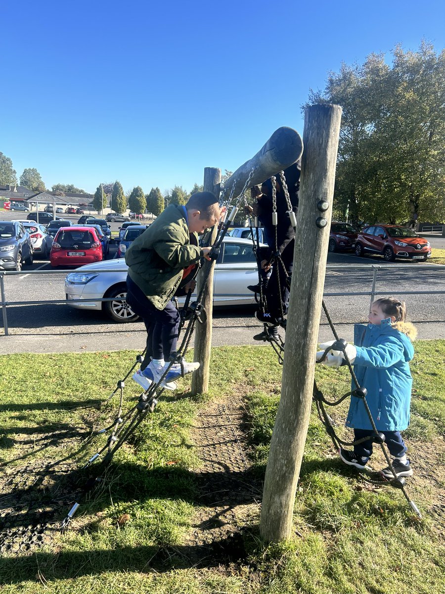 Aoife Hardiman tweet media