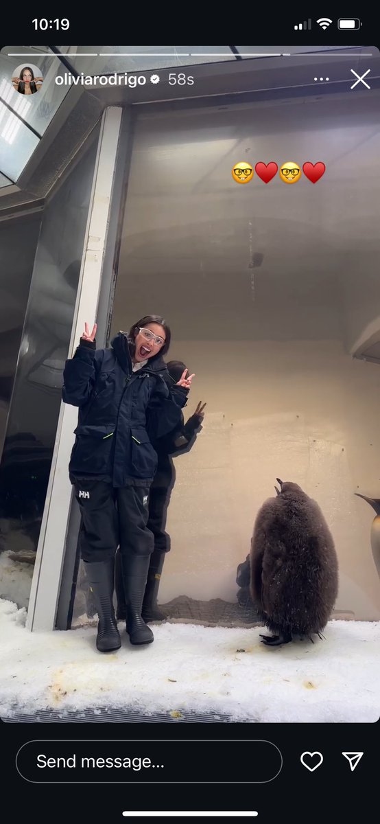 natasharoyy's tweet photo. obsessed with olivia rodrigo meeting pesto the penguin this is exactly what famous people should be doing https://t.co/4gqTd6LuRn
