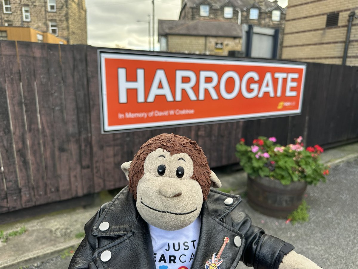 Philip Marsh 🐵 tweet media