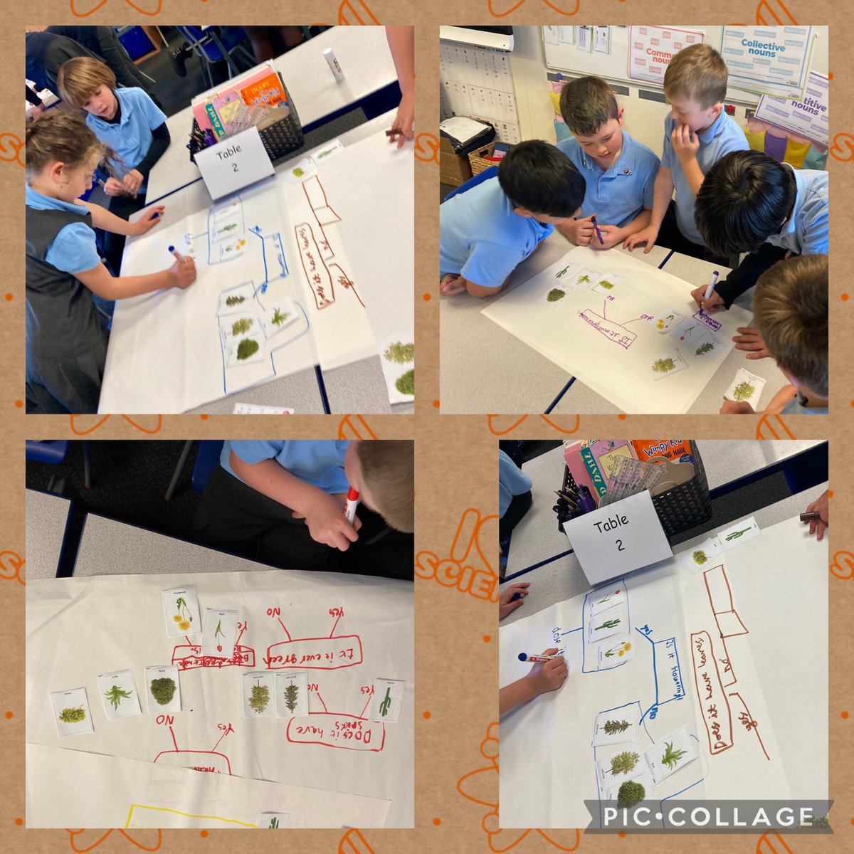 Mrs Earnshaw tweet media