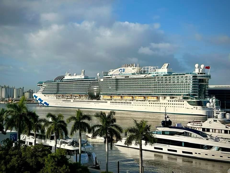 Princess Cruises tweet media