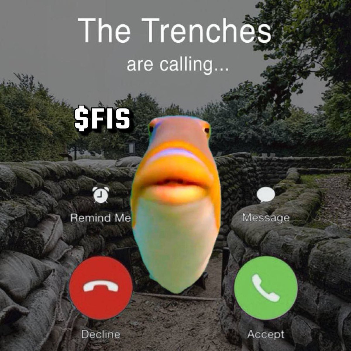 $FIS (CTO) tweet media