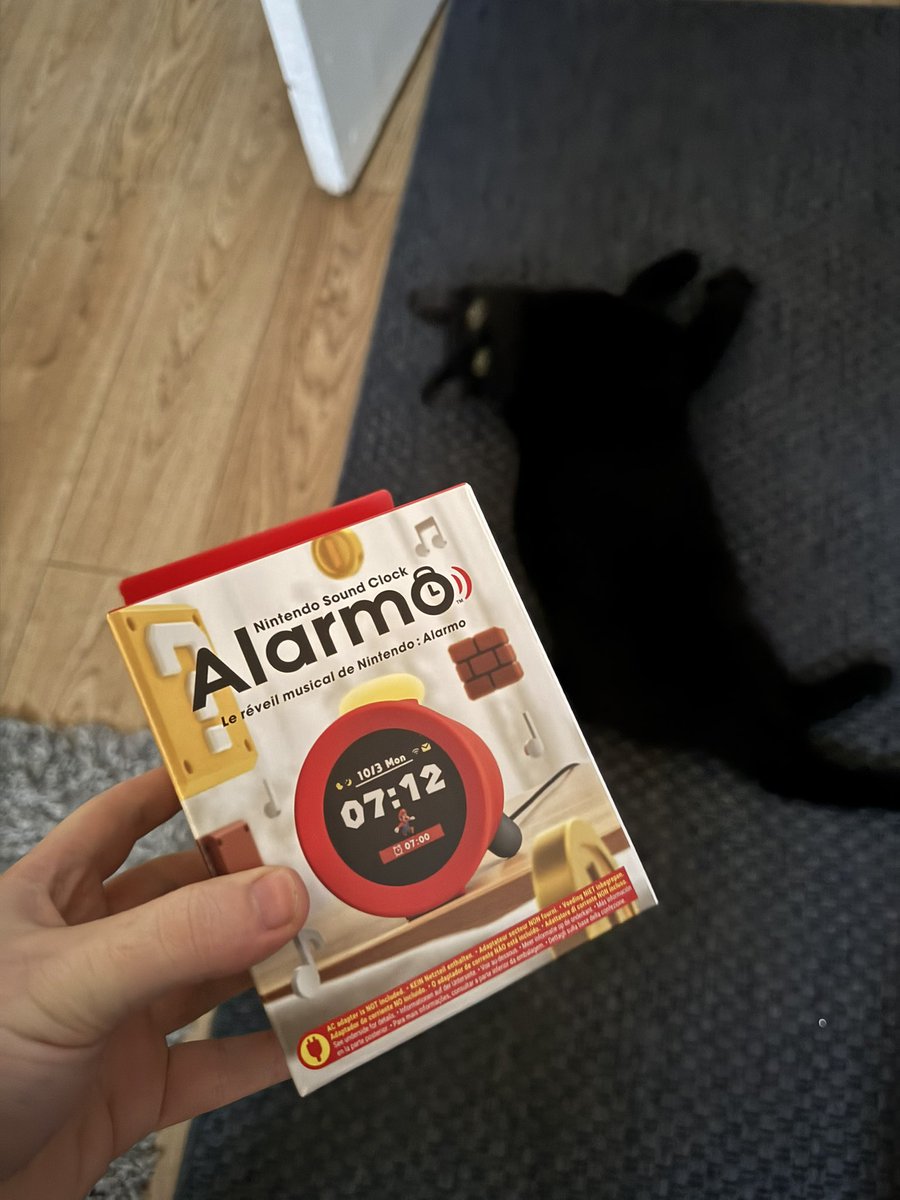 The cat is judging me for foolish financial decisions