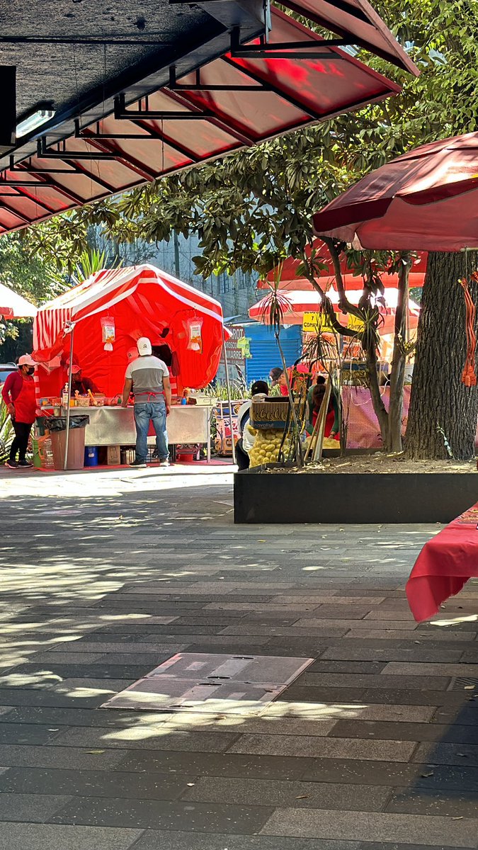 pzm1206's tweet photo. Esto pasa cuando tu alcaldesa @AlessandraRdlv no vive en su alcaldía @AlcCuauhtemocMx  no tiene idea de lo que es ver ambulantes nuevos diario, el ruido, lo sucio. Uno nuevo diario? Igualito que con @SandraCuevas_ https://t.co/eCMOdXjnps