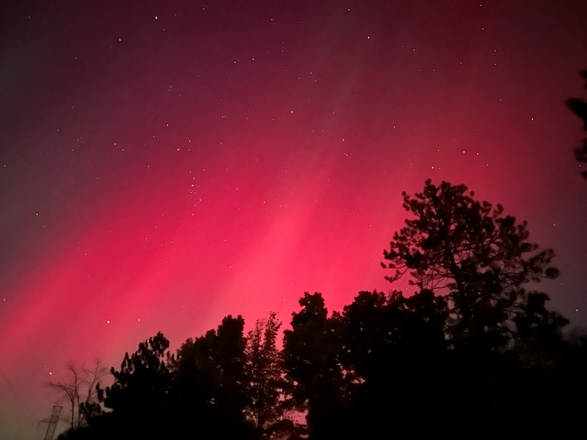 Caley Bedore tweet media