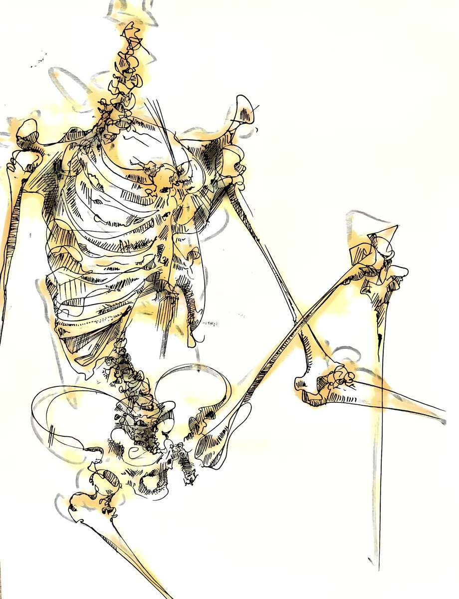 AnatomyApex's tweet photo. Sketches for the week #anatomyart #anatomysketch https://t.co/xg89b91VEB