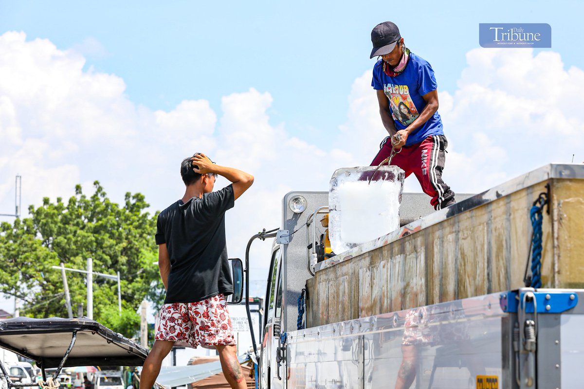 tribunephl's tweet image. Ice Blocks Delivery

LOOK: A deliveryman loads ice blocks into a truck at Binangonan Fishport in Rizal on Friday. | via John louie Abrina

See more photos at: tribune.net.ph/2024/10/11/ice… 

#DailyTribune #IceBlocks