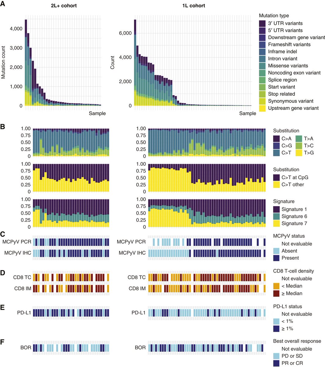 Phase 2 Study (JAVELIN Merkel 200): Biomarker analyses - avelumab for metastatic Merkel cell carcinoma. bit.ly/4ezM9um