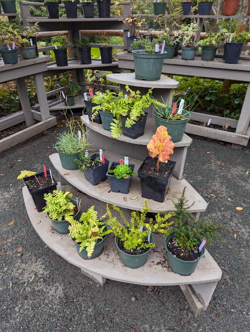 Memorial University Botanical Garden tweet media