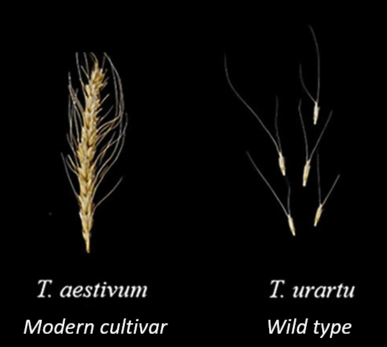 Simon Maechling tweet media