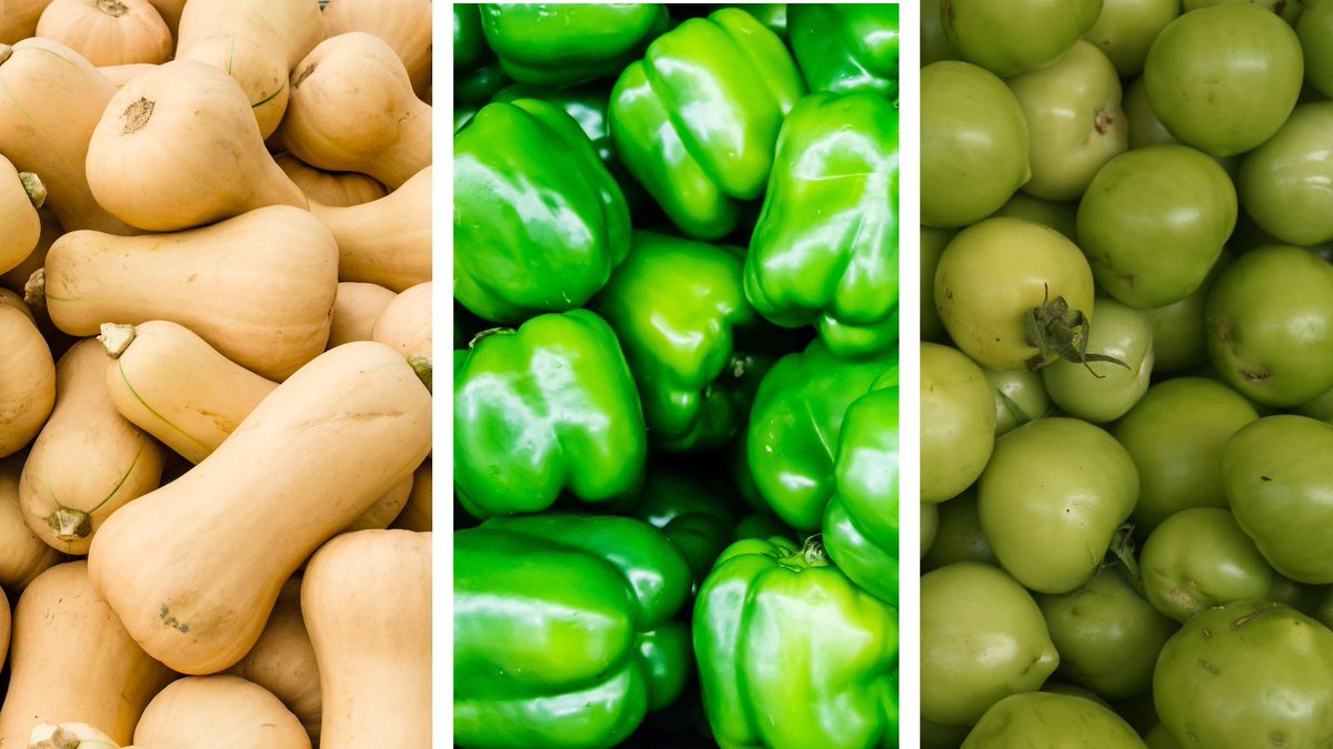 Seed St. Louis tweet media