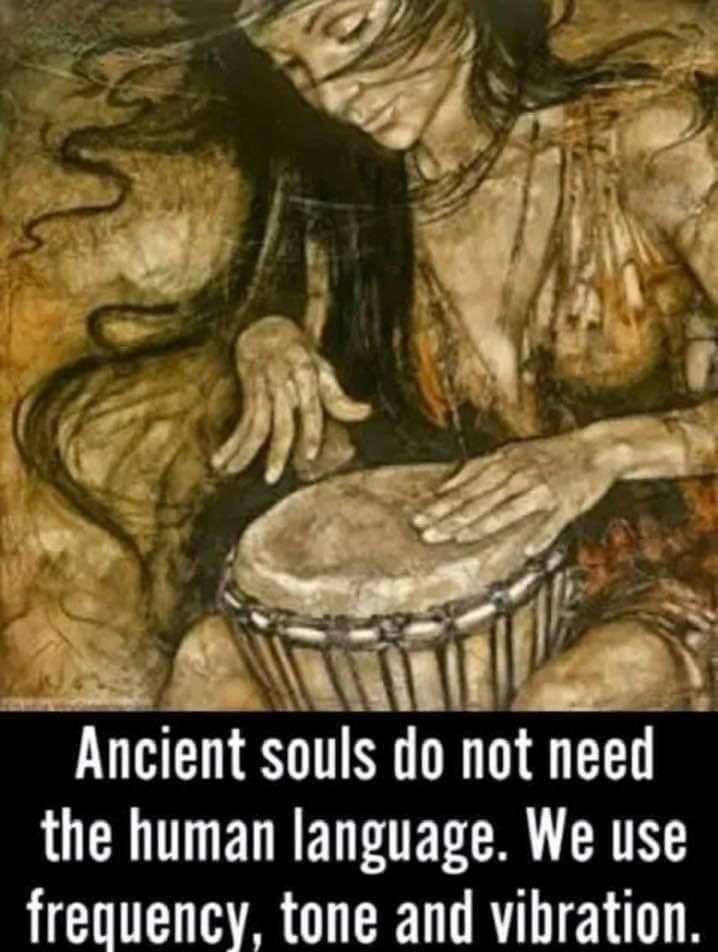 🧬Maxpein🧬 tweet media