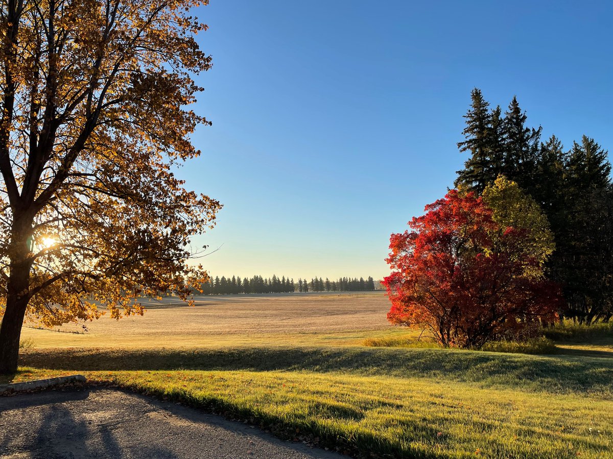 Fall has arrived at Brandon Research and Development Centre. Wheat and canola are off, waiting for corn and soybeans finish drying. Fall soil sampling is in full swing for 4R N and P and compaction trials. #GCAggie