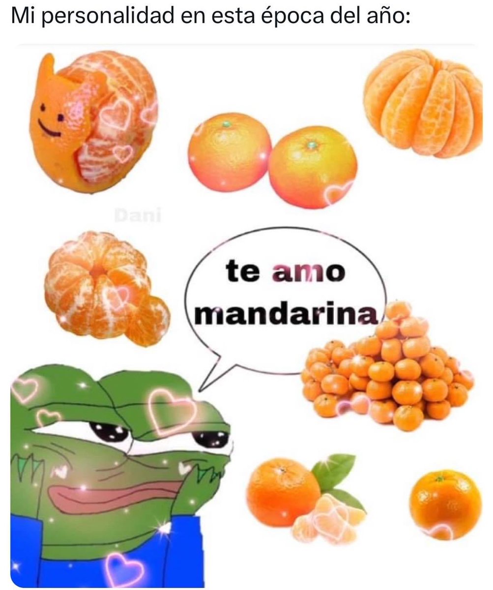 🇲🇽 México Mágico ✨ tweet media