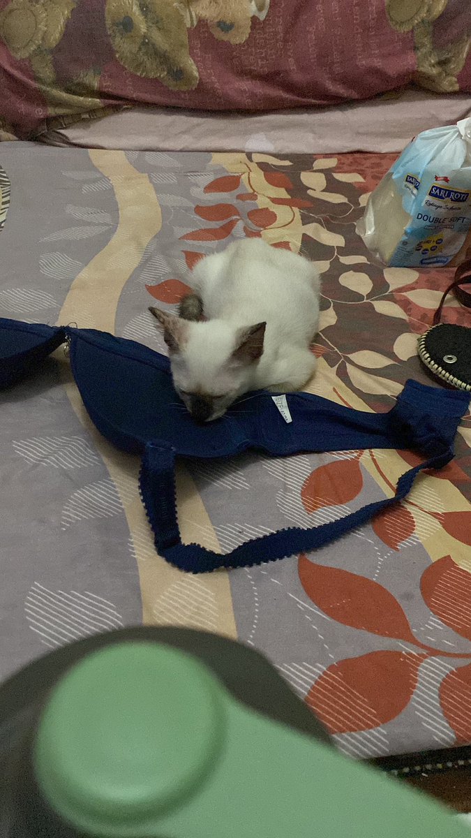 anonvrg7's tweet photo. @pelisahh Tolong maafkan foto atas bra https://t.co/n78qOVmXer