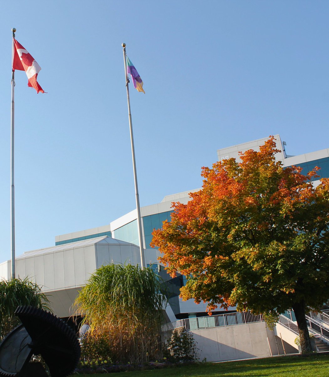 Matthew Shoemaker (@sooshoe) on Twitter photo .<a href="/CitySSM/">Sault Ste. Marie</a> is proud to recognize the #InternationalDayOfTheGirl in celebration of the limitless potential of every girl in our community! Thank you to <a href="/WeBuildADream/">Build A Dream</a> for their advocacy. .<a href="/CitySSM/">Sault Ste. Marie</a> is proud to recognize the #InternationalDayOfTheGirl in celebration of the limitless potential of every girl in our community! Thank you to <a href="/WeBuildADream/">Build A Dream</a> for their advocacy.