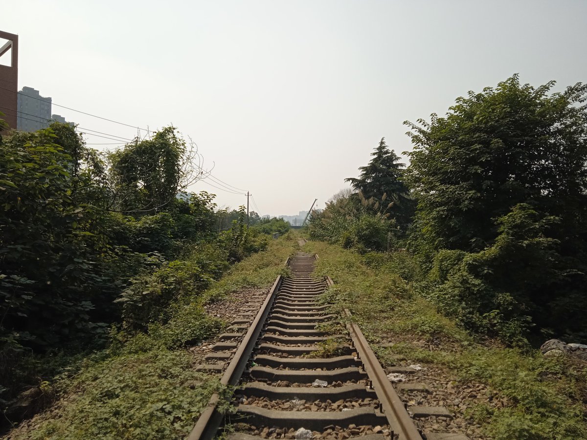 gapple10086's tweet photo. https://t.co/cuWICRdGC3