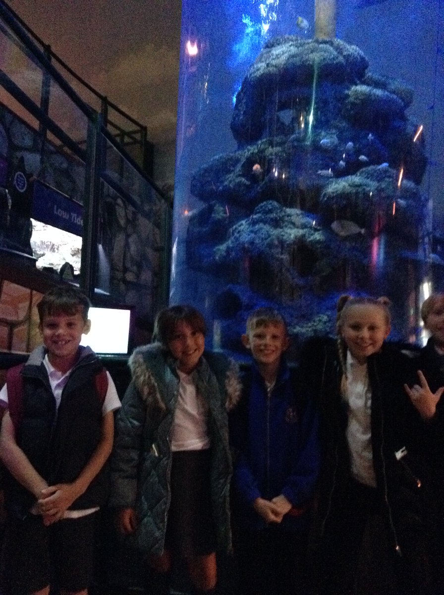 latimerprimary's tweet photo. What a fantastic end to the week we have had! Our trip to Sea life was amazing! So much to see and learn about...#4LV #Sealife #ThePlasticCrisis #ReuseRecycle https://t.co/6jVG6qw6WA
