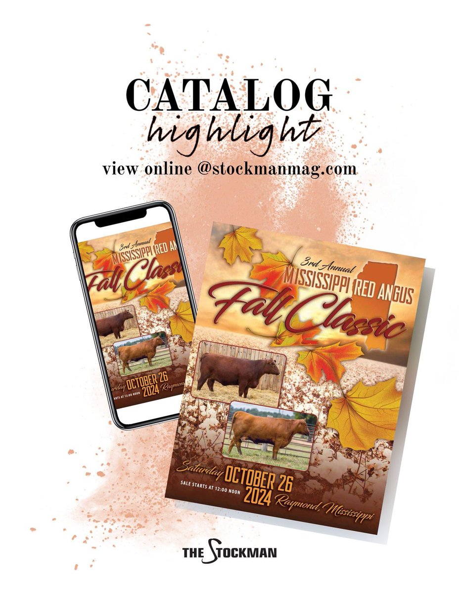 StockmanMag's tweet image. 🍂𝓜𝓲𝓼𝓼𝓲𝓼𝓼𝓲𝓹𝓹𝓲 𝓡𝓮𝓭 𝓐𝓷𝓰𝓾𝓼 𝓕𝓪𝓵𝓵 𝓒𝓵𝓪𝓼𝓼𝓲𝓬 
Mississippi Red Angus Association
📍 Raymond, MS. - Hinds Community College Sale Facility 
⏰ 12:00 noon
🗓️ Sat. Oct. 26
📱 DV Auction
🎙Kyle Gilchrist - Gilchrist Auction Co.

🤓catalog: issuu.com/thestockman/do…
