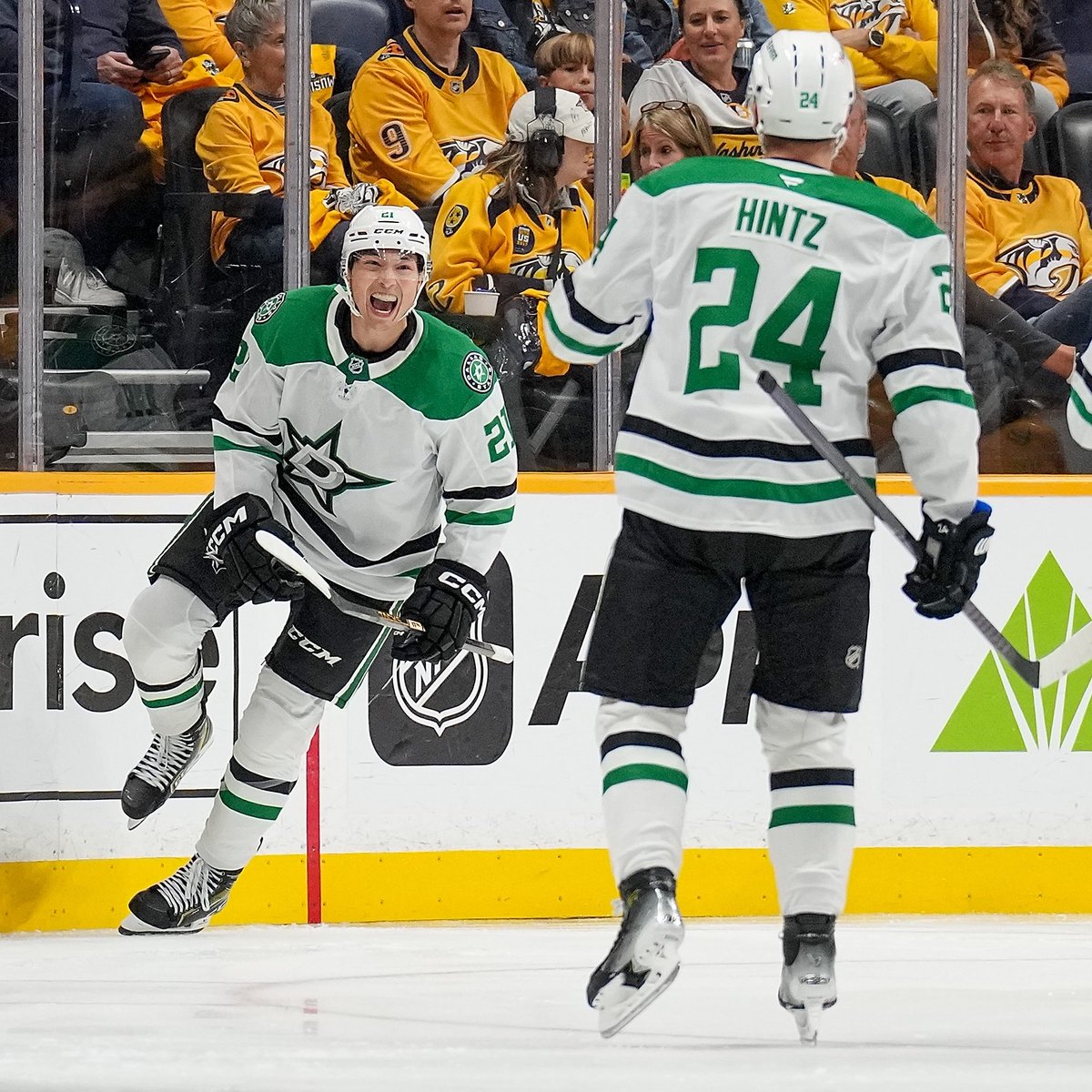 x - Dallas Stars tweet media