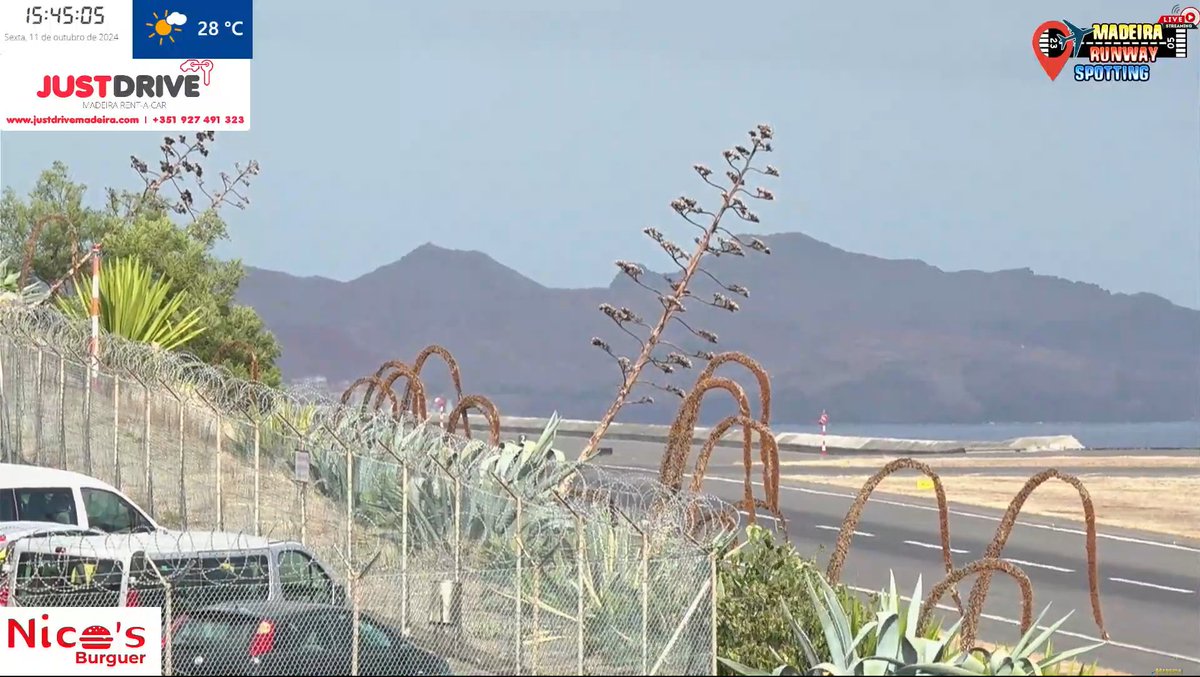 AirNavRadar's tweet image. LIVE MADEIRA AIRPORT / LPMA 🌴✈️
  
Watch it live: youtube.com/watch?v=la1nRm…  

Live tracking: RadarBox.com 

#Aviation #Madeira #RadarBox #LPMA