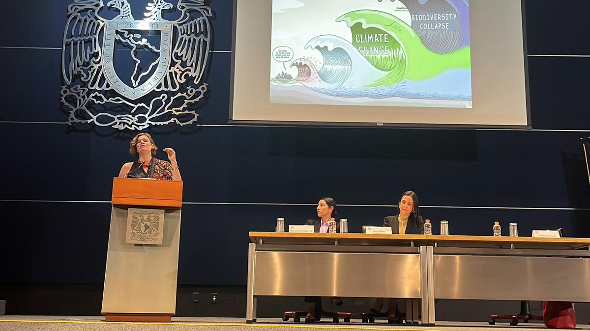 Mariana Mazzucato tweet media