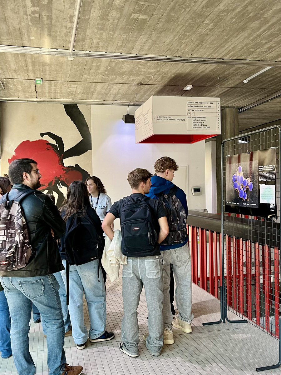 INEM NECKER (@neckerinem) on Twitter photo Journée enrichissante à l’INEM ! Aujourd’hui pour la #FDS2024, nous avons accueilli des collégiens et lycéens pour découvrir la recherche scientifique à travers des ateliers interactifs.🔬🥼🧪<a href="/FeteScience/">Fête de la science</a> Journée enrichissante à l’INEM ! Aujourd’hui pour la #FDS2024, nous avons accueilli des collégiens et lycéens pour découvrir la recherche scientifique à travers des ateliers interactifs.🔬🥼🧪<a href="/FeteScience/">Fête de la science</a>