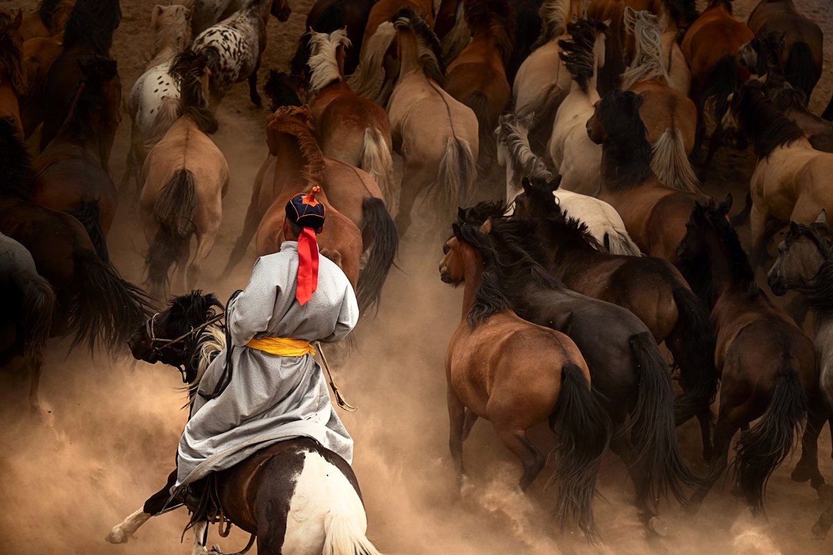 Yavuz Sariyildiz.eth/.sol (@nftsariyildiz) on Twitter photo GM friends 🫡
I am so happy to announce that my work 'Wilde Horses of Genghis Khan' will be exhibited in Campos de Luz during the International Photography Festival in Brazil. I also congratulate my friend <a href="/Niloofarmd44/">Niloofar md</a> who's work will also be displayed. And a great thanks to GM friends 🫡
I am so happy to announce that my work 'Wilde Horses of Genghis Khan' will be exhibited in Campos de Luz during the International Photography Festival in Brazil. I also congratulate my friend <a href="/Niloofarmd44/">Niloofar md</a> who's work will also be displayed. And a great thanks to