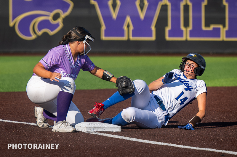 David Rainey tweet media