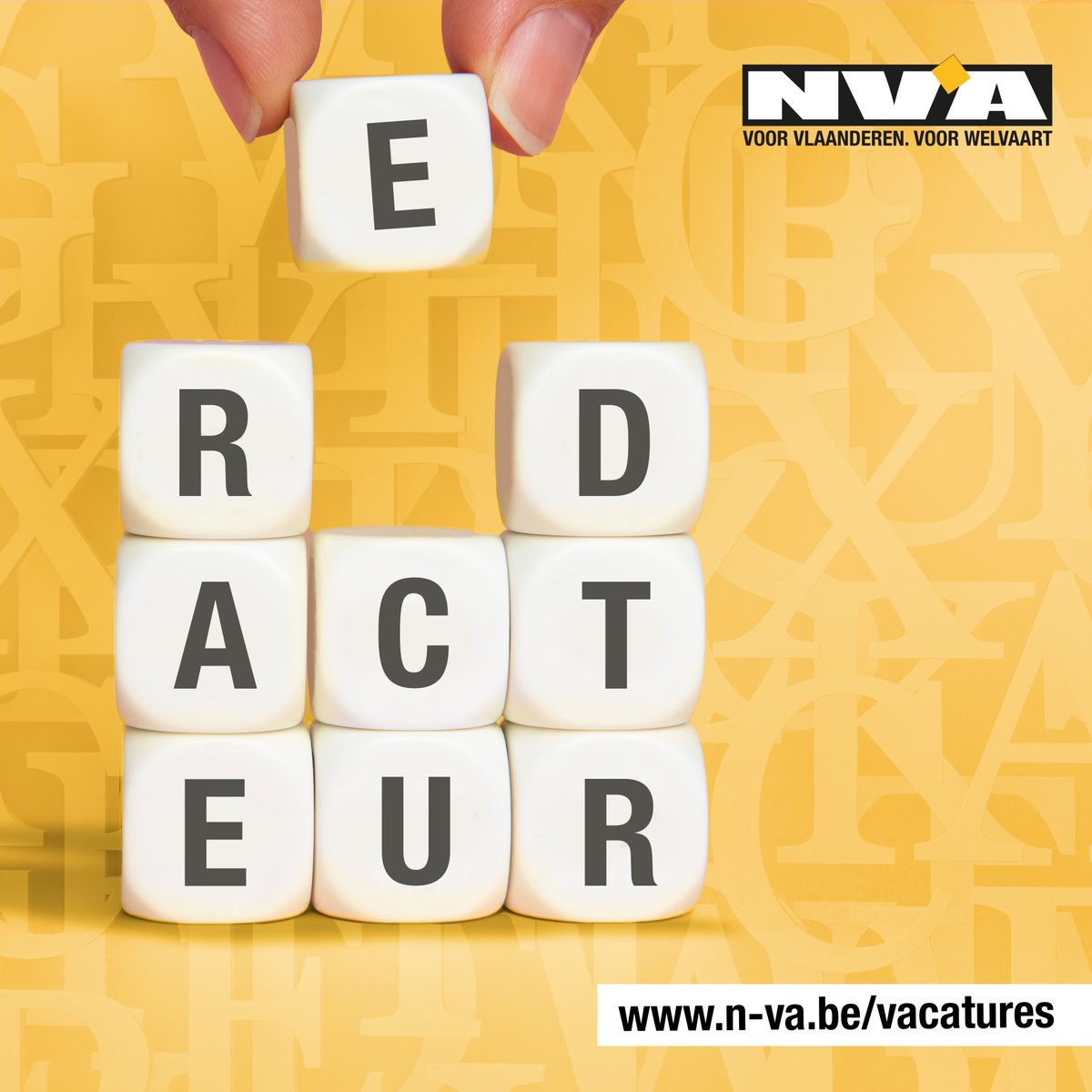 Wil jij met jouw taalkennis en redactionele vaardigheden bijdragen aan de lokale communicatie via huis-aan-huisblaadjes van onze N-VA-afdelingen? 👇

Lees onze #vacature voor een redacteur en solliciteer: 👉 ow.ly/8yBQ50TJJNx