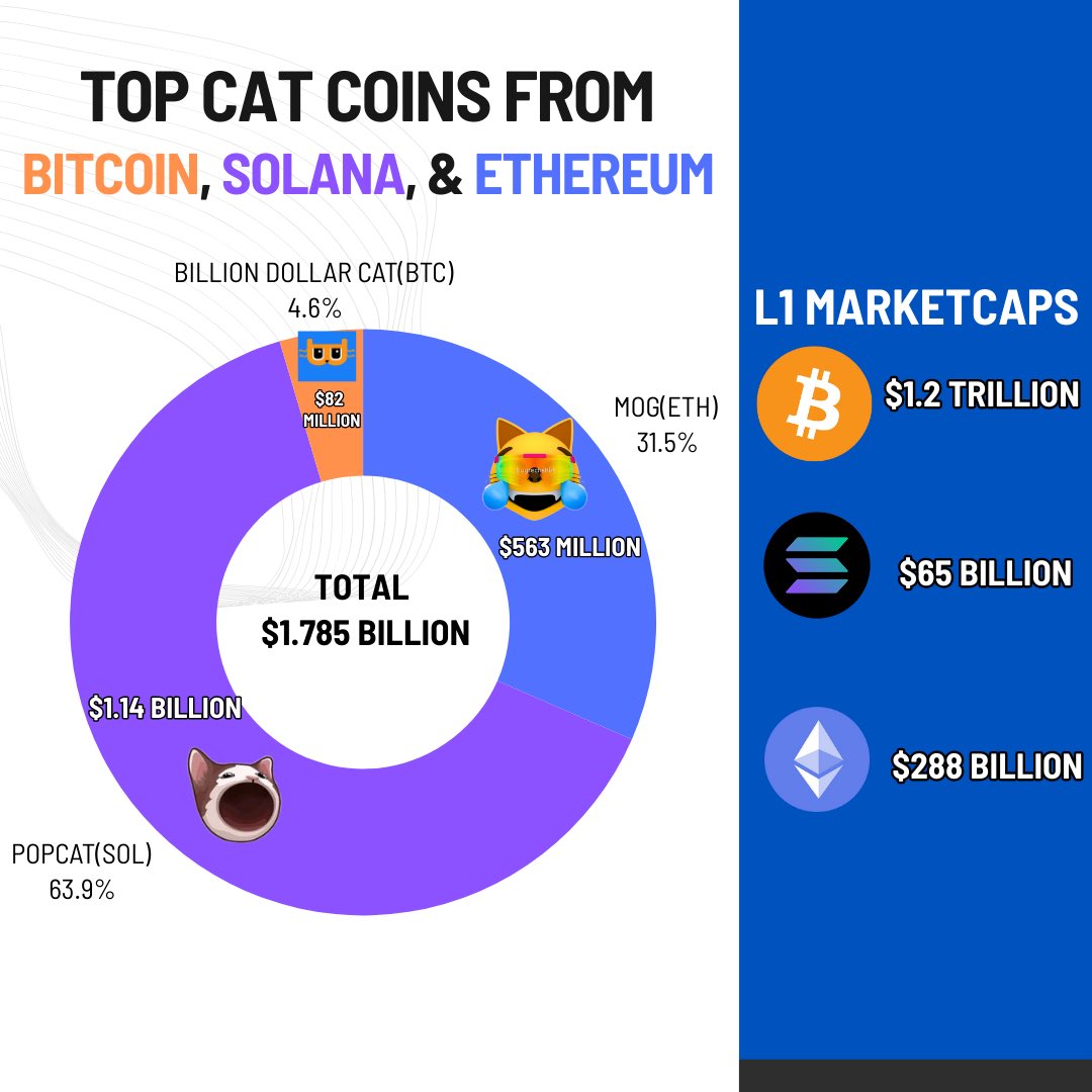 Gmeow have you done the cat math👇