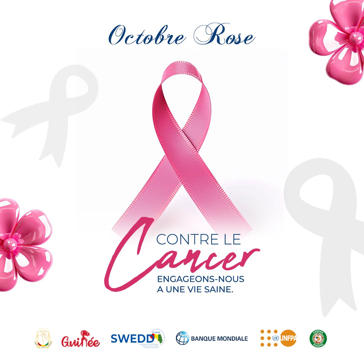 SWEDD GUINÉE tweet media