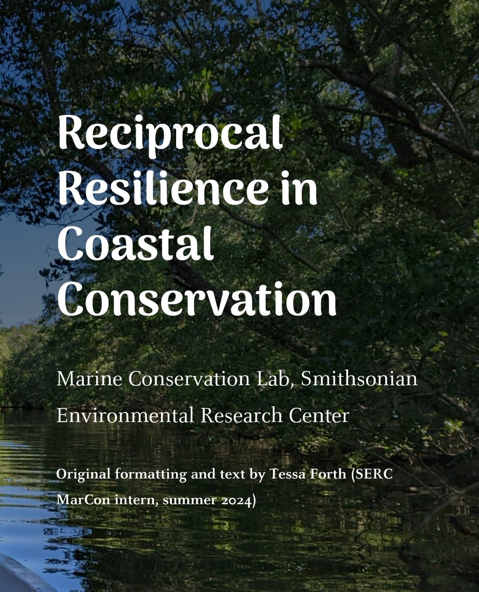 In recognition of #WorldHabitatDay earlier this week, we share our 2nd #ArcGIS #StoryMap, showcasing efforts to strengthen resilience in the coastal habitats of the #MesoAmericanReef &amp; #Caribbean using #RemoteSensing &amp; field techniques.

Eng: arcg.is/4yeOi0

1/4