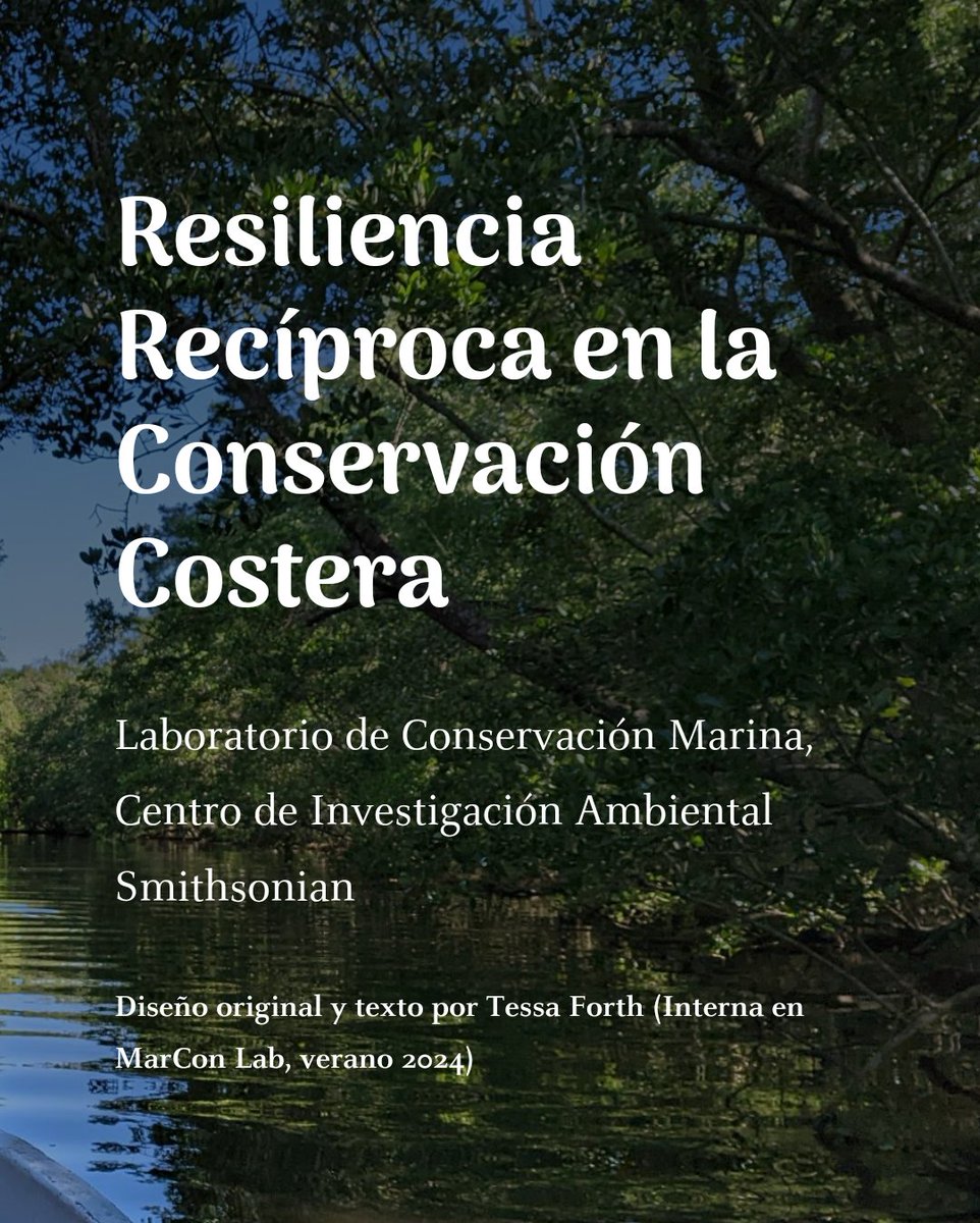 En reconocimiento del #DíaMundialDelHábitat esta semana, compartimos nuestro 2º #StoryMap, mostrando nuestros esfuerzos para fortalecer resiliencia en hábitats costeros del #ArrecifeMesoamericano y el #Caribe usando #RemoteSensing y técnicas de campo

arcg.is/0iOPeT

1/4