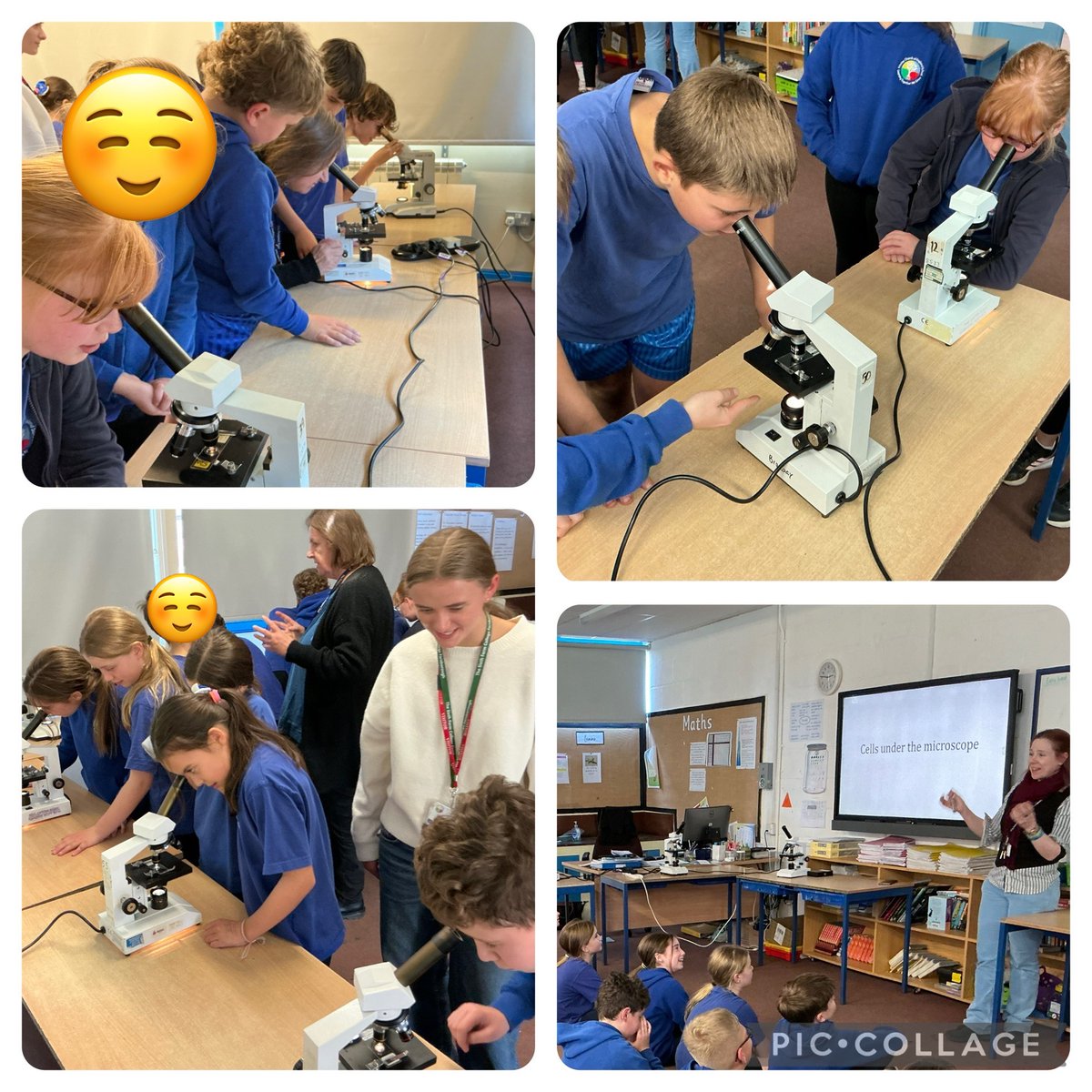 Frimley Junior School (@frimleyjunior) on Twitter photo Year 6 were lucky to be visited by <a href="/Farnborough6th/">Farnborough 6th</a> today to discuss micro-organisms and view cells 🦠through microscopes 🔬 Year 6 were lucky to be visited by <a href="/Farnborough6th/">Farnborough 6th</a> today to discuss micro-organisms and view cells 🦠through microscopes 🔬