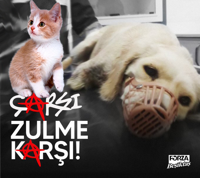 Vicdansızlık yapma!