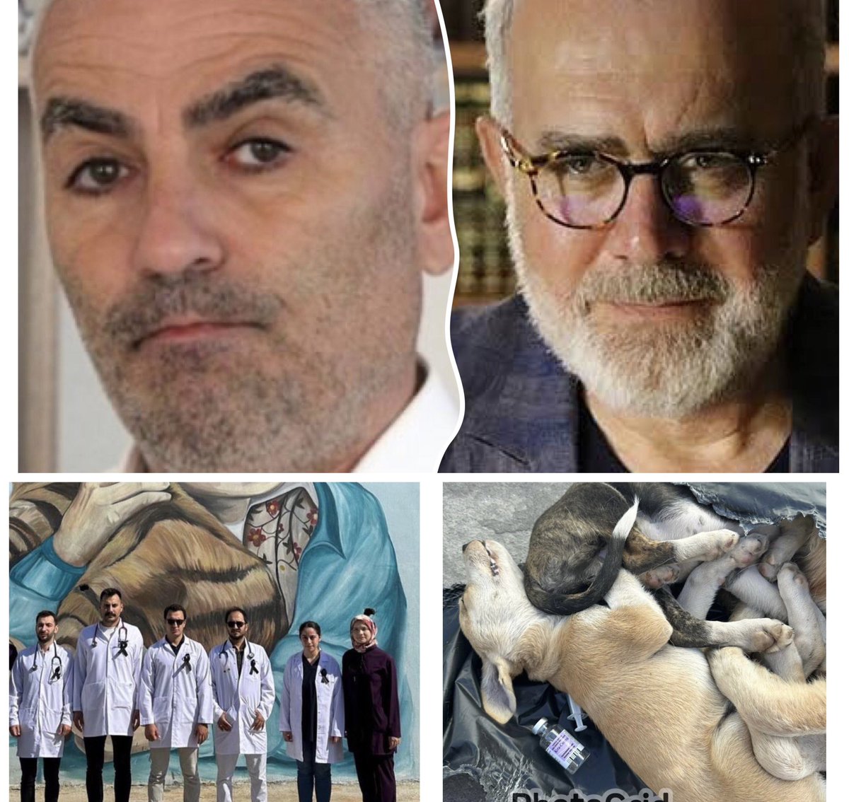 AZMETTİRİCİLER
KATİLLER
MAĞDURLAR.
Tek Karede Katliamların Özeti.
#GebzedeKatliamVar #SokakHayvanlarıSahipsizDeğildir