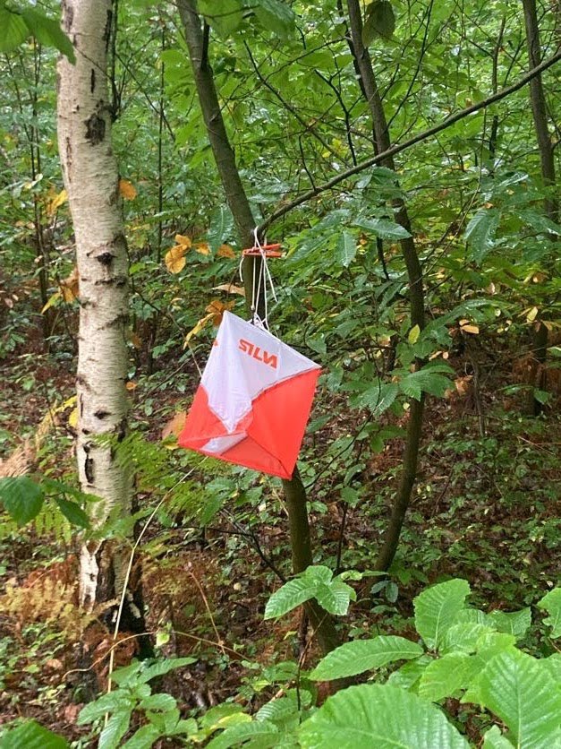 Collège Nelson Mandela - Elbeuf tweet media