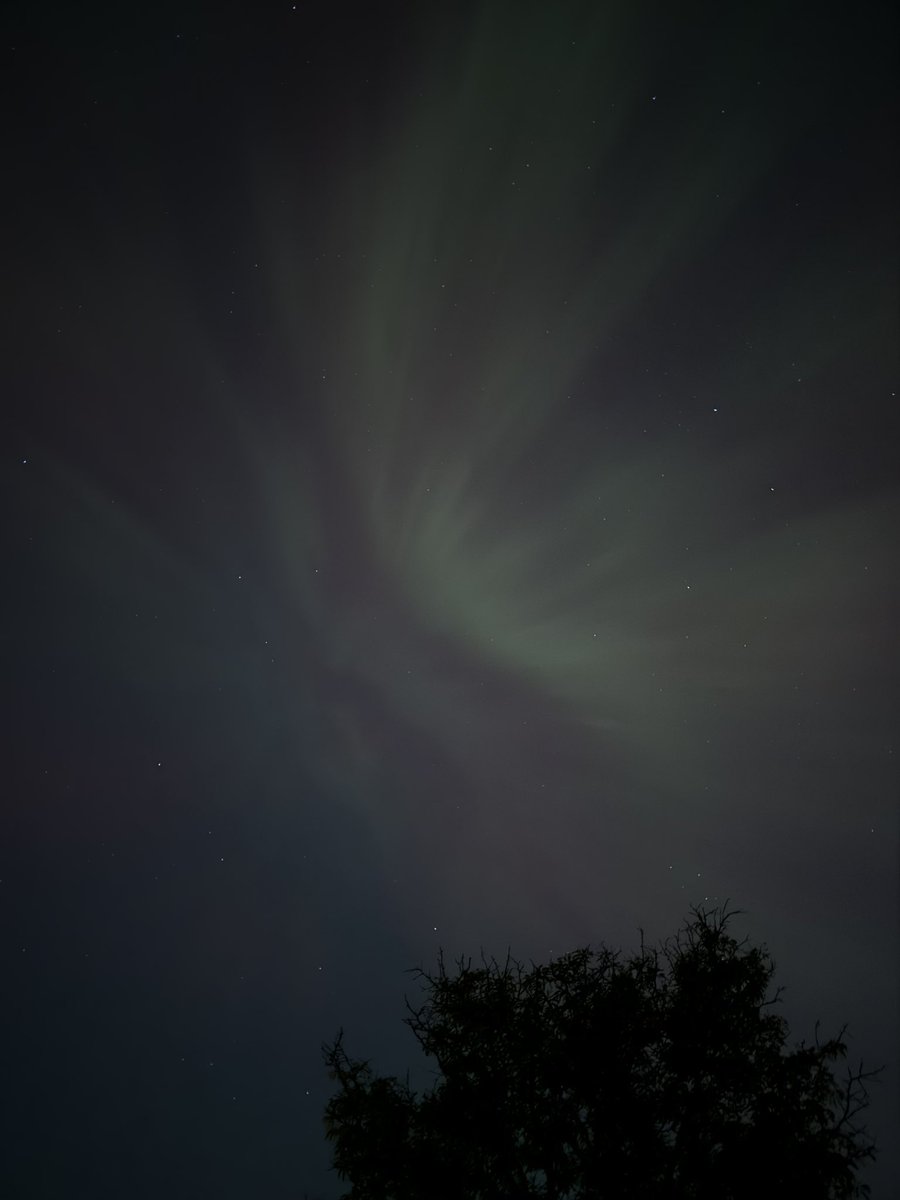 1TrueDayDreamer's tweet photo. Seeing the aurora lights has always been one of my biggest bucket list items. I’m still pinching myself over this 😭🥹💖

(These pictures are *unedited*!!) https://t.co/at2DWZ4m1W