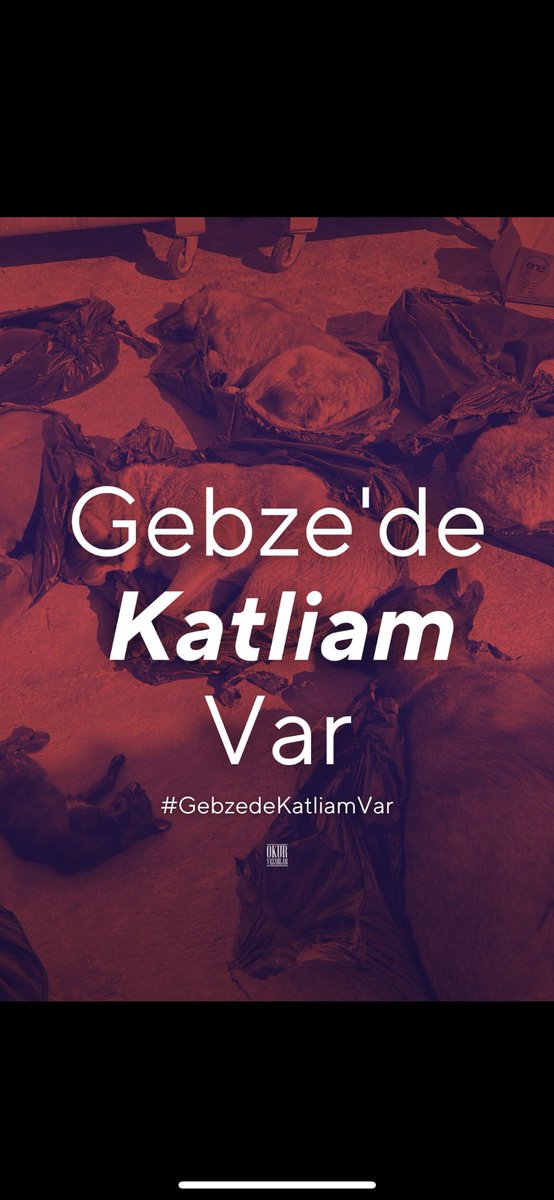 Asli_siler's tweet photo. Ben bu ülkeden insanlarından nefret ettim biriniz bile mi dur demedi yazıktır günahtır demedi umarım acı çekerek geberirsiniz sizde 
#GebzedeKatliamVar https://t.co/jrpl7HtB6Z