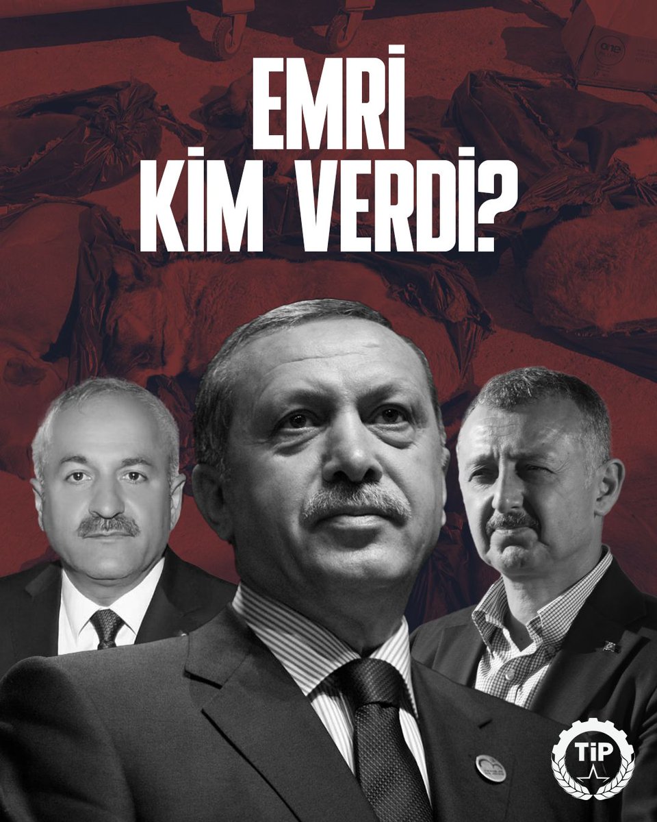 Sokak hayvanları da özgür, güvenli, huzurlu bir hayat yaşayabilirdi…

Bir patron, uyuşturucu baronu ya da tarikat şeyhi olsalardı!
#GebzedeKatliamVar