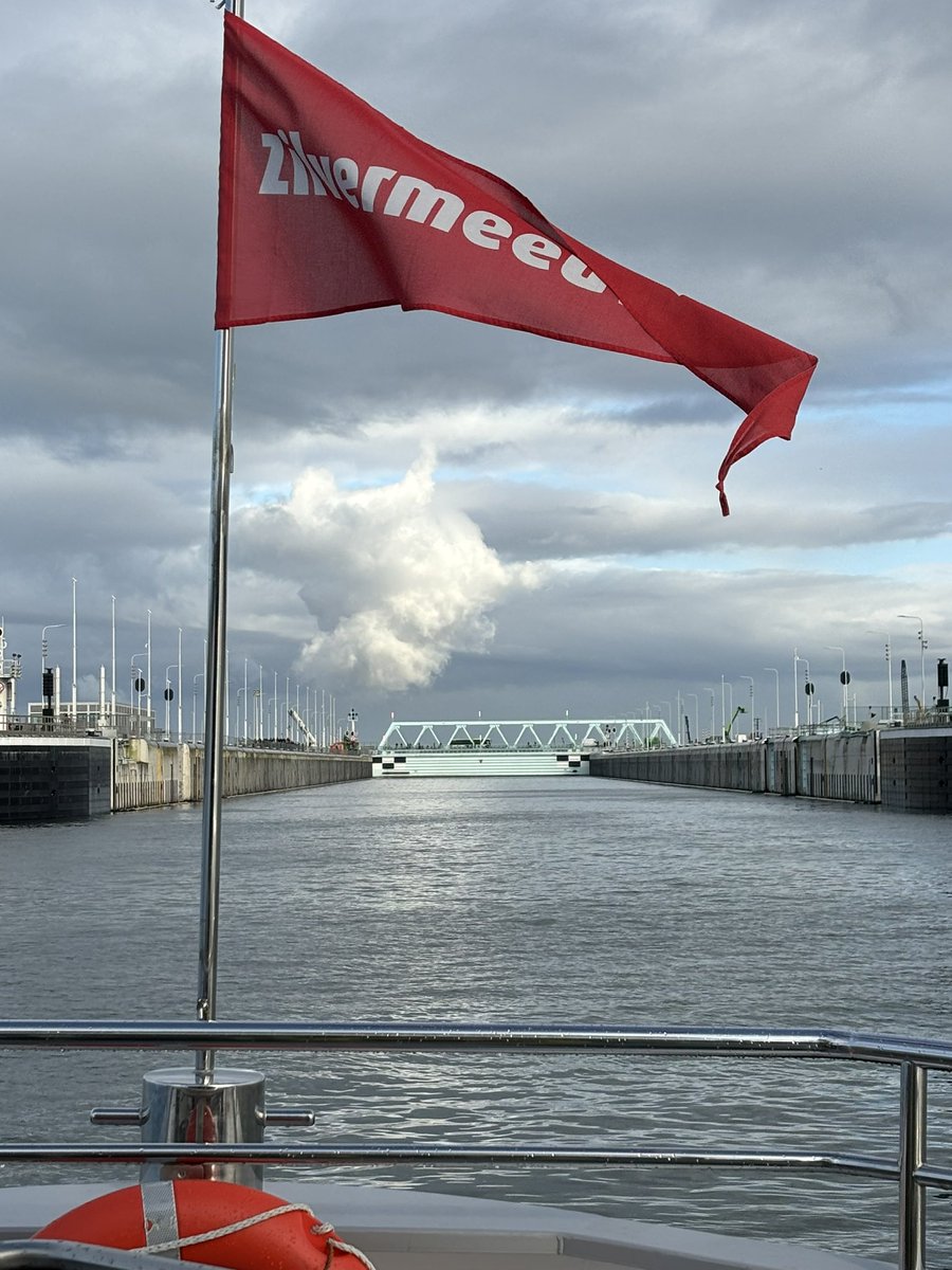 brechje schwachofer tweet media