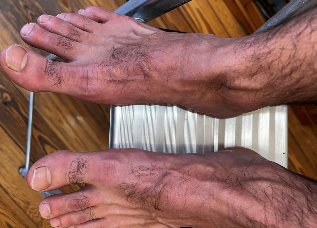 🇩🇪 SerkanHH 1981 Alpha Top tweet media